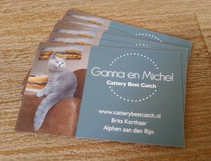 Cattery Best Catch - visitekaartje