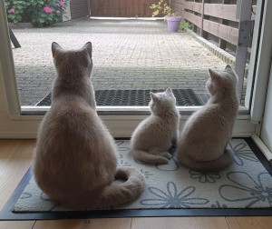 Samen naar buiten kijken