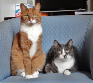 Tinka en John