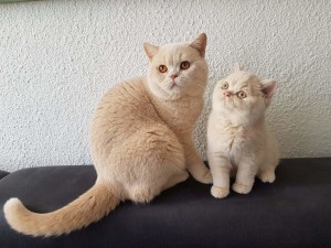 Bennet samen met zijn zoon