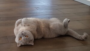 Aline ligt op haar rug in de kamer