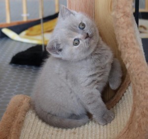 Best Catch a special one Eliza