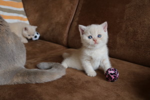 Best Catch Enjoy Tess