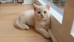 Best Catch Enjoy Tess