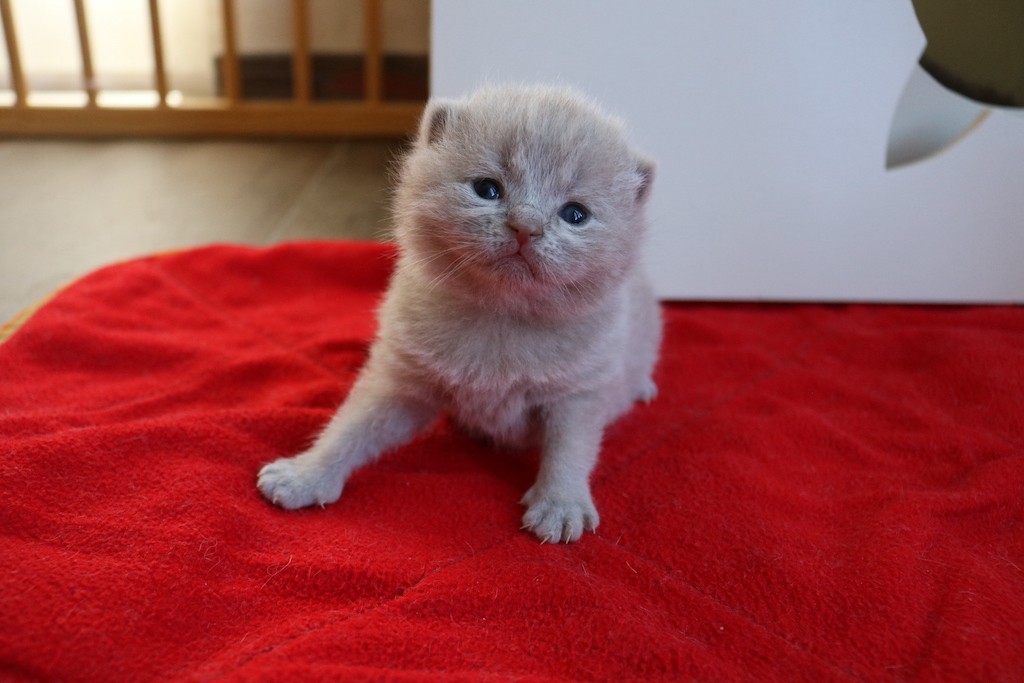 Best Catch Gentle Aukje