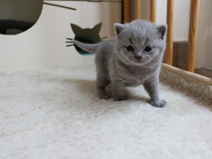 Best Catch Gorgeous Lux