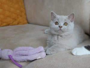 Best Catch Gentle Aukje