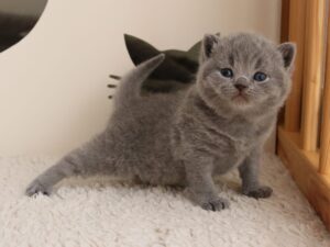 Best Catch Jamie Lee